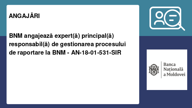BNM angajează expert(ă) principal(ă) responsabil(ă) de gestionarea procesului de raportare la BNM - AN-18-01-531-SIR