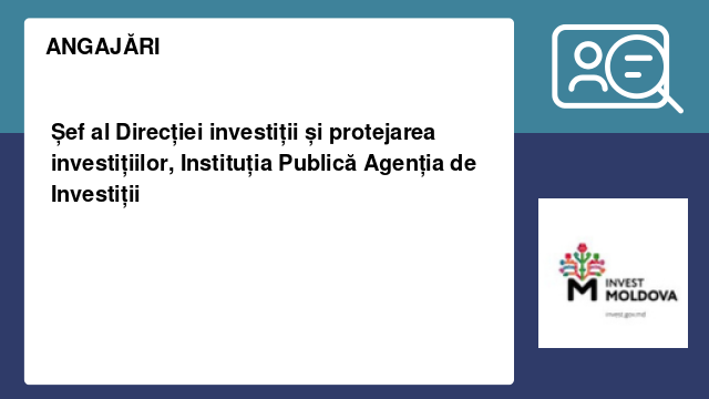 Șef al Direcției investiții și protejarea investițiilor, Instituția Publică Agenția de Investiții