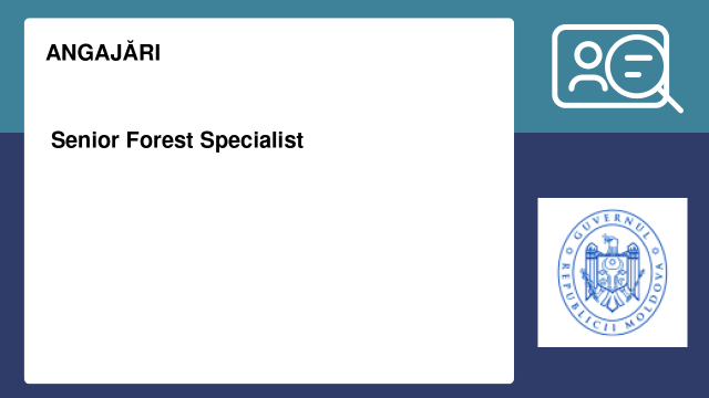 Senior Forest Specialist