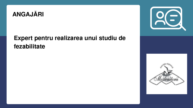 Expert pentru realizarea unui studiu de fezabilitate