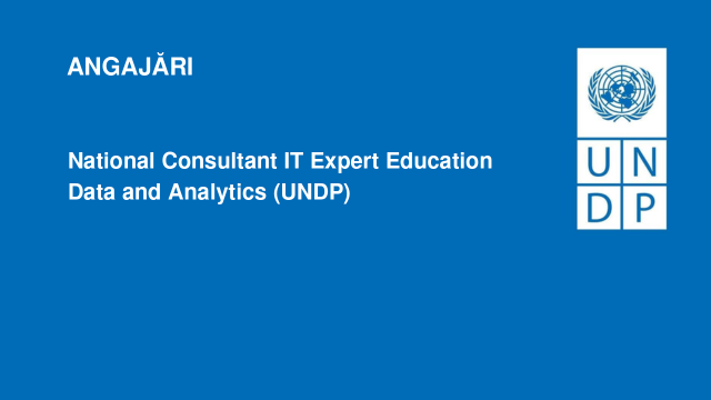 National Consultant IT Expert Education Data and Analytics (UNDP)