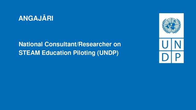 National Consultant/Researcher on STEAM Education Piloting (UNDP)