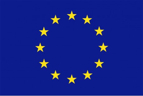 drapel steag fanion ue 1