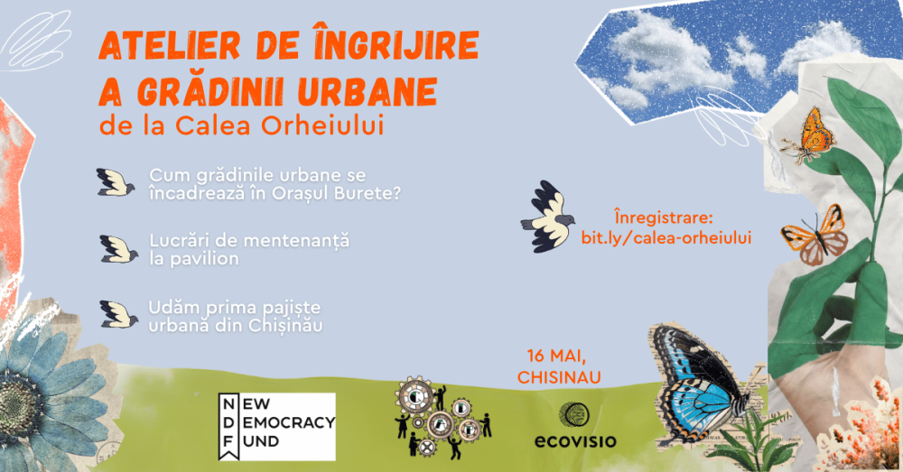 Option 2