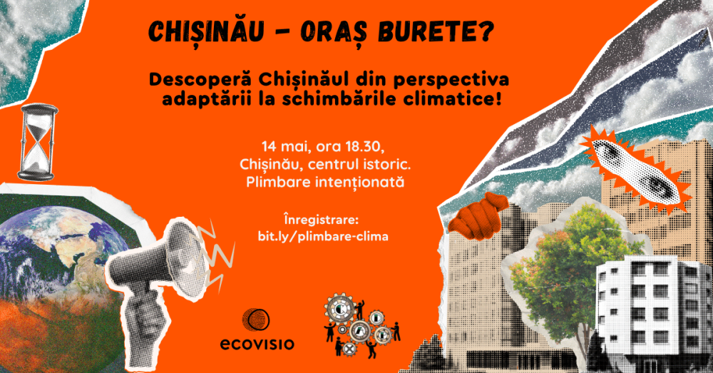 plimbare cover
