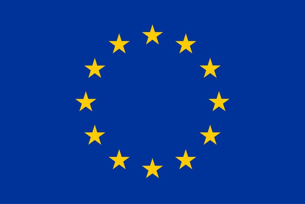 flag yellow