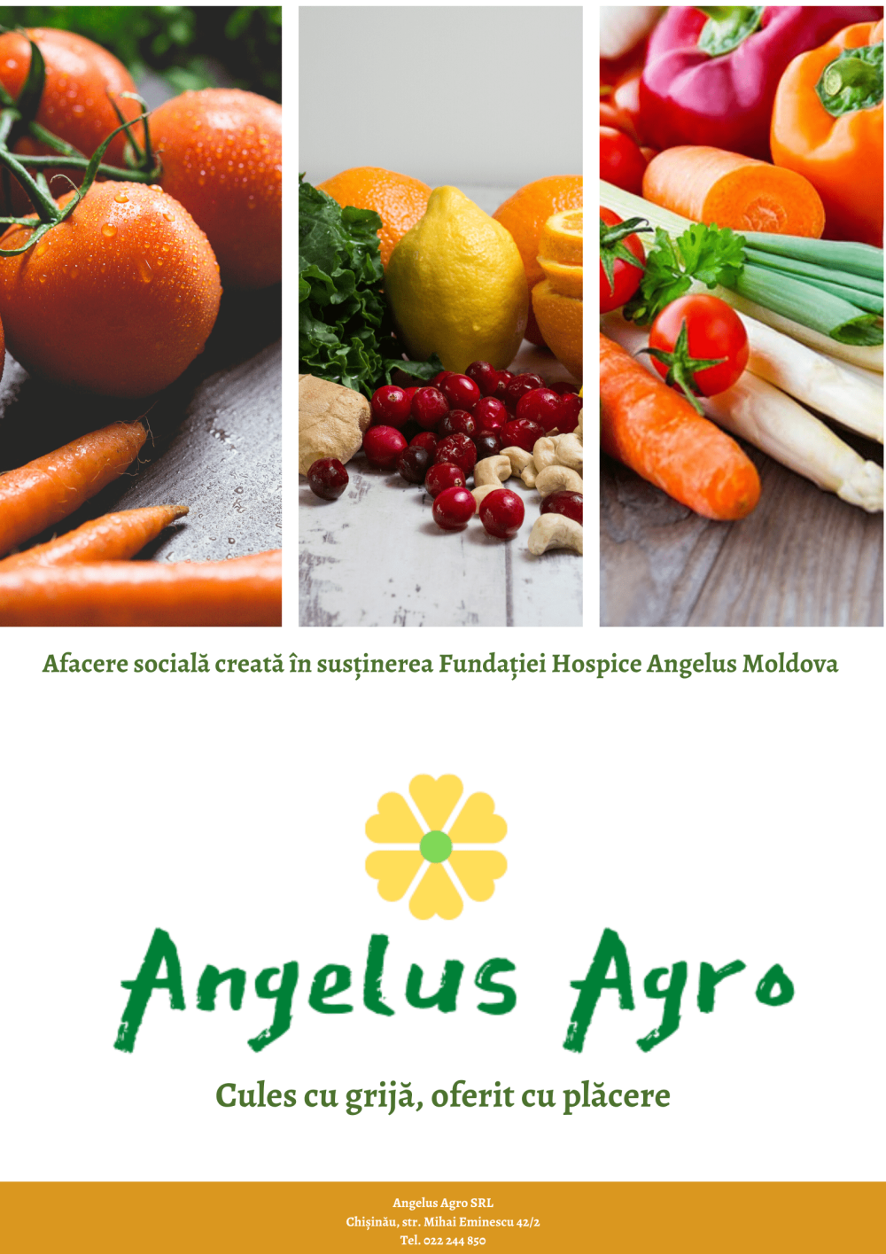 Angelus Agro min