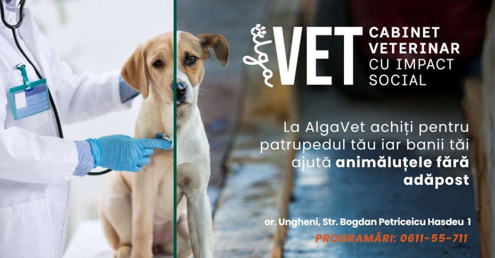 Baner Alga vet