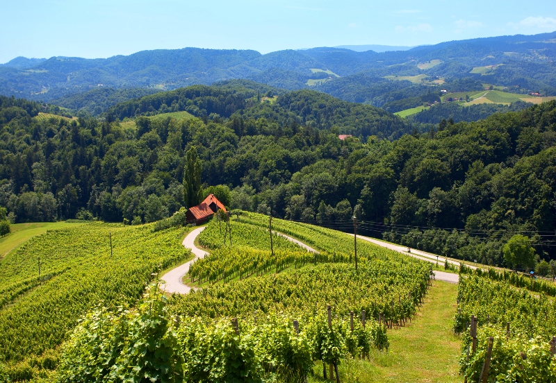 poza landscape