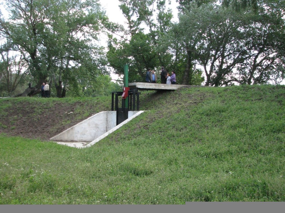 Boiste Turunciuc